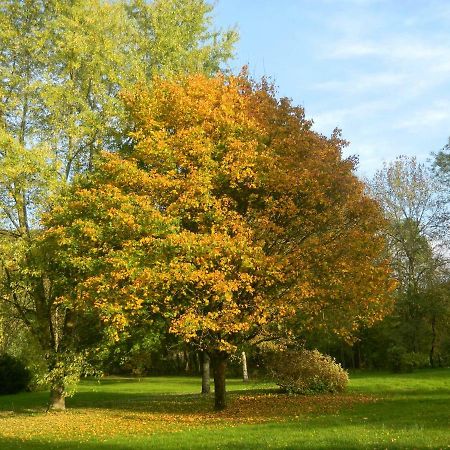 Le Grand Pre Panzió Daillancourt Kültér fotó